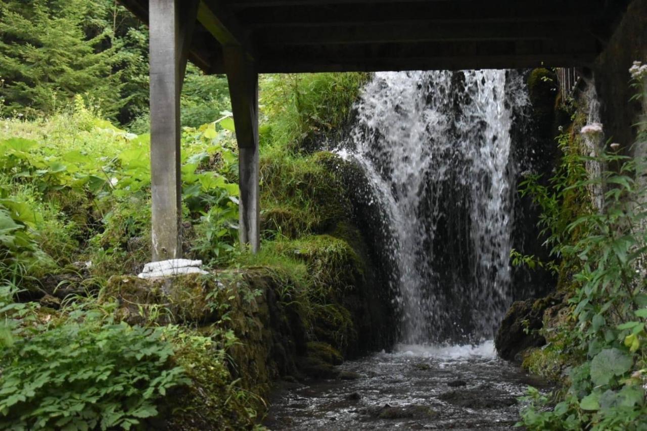 Wooden House With A Waterfall "Stipanov Mlin" Villa Plitvicka Jezera Luaran gambar